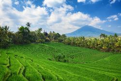 Ontdek Bali (Van Verre)