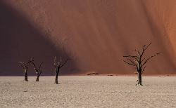 Sossusvlei Symfonie (Van Verre)