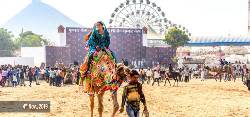 Picture:Golden Triangle with Pushkar Fair