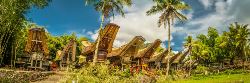 Familiereis Sumatra, Java en Bali (Sawadee)