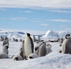 Picture:Groepsrondreis Antarctica - Snow Hill eiland