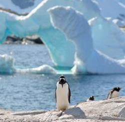 Picture:Groepsrondreis Antarctica
