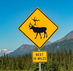 Groepsrondreis Alaska en Yukon - Kampeer/hotel reis (Sawadee)