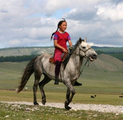 Groepsrondreis MongoliÃ« (Sawadee)
