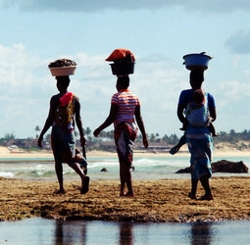 Groepsrondreis Zuid-Afrika/Mozambique (Sawadee)
