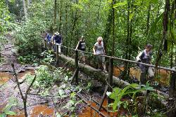 Costa Rica - Wandern im Naturparadies (avenTOURa)