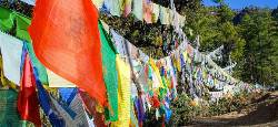 Bhutan & Indien: Himalaya (Chamäleon)