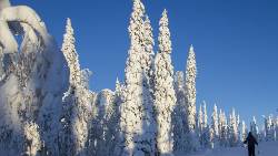 Winter Wonderland in Finnish Lapland (Tenzing)