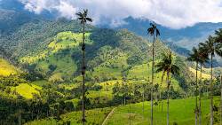 Best of Colombia (Tenzing)