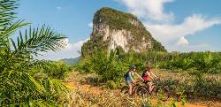 Südthailand – Exotik unter Palmen (Wikinger)