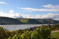 Der Rheingau – wandern, wo der Wein wächst (Wikinger)