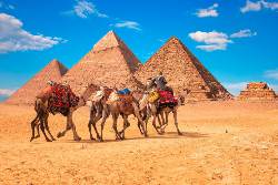 In Ägyptens Zaubergarten – Abenteuer in der Weißen Wüste (Wikinger)