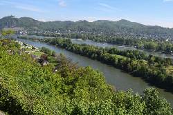 Premium-Wanderwege hoch über dem Rhein (Wikinger)
