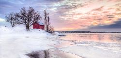 Gott nytt år in Småland! (Wikinger)