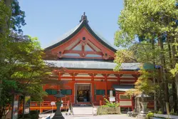 Von den Kranichen Hokkaidos zum Fuji-san (Wikinger)
