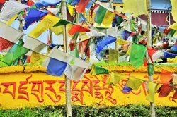 Legendenumwobene Königreiche (Wikinger)