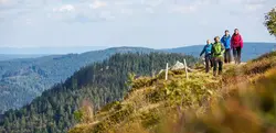 Schwarzwald – raus aus den Schluchten, rauf auf die Berge! (Wikinger)