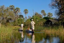Okavango & Chobe (Encounters Travel)