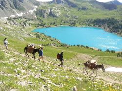 Frankrijk -  Mercantour, 8 dagen (SNP Natuurreizen)