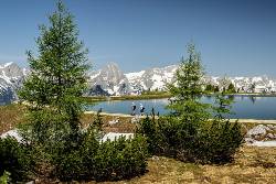 Oostenrijk -  Oostenrijkse Alpen, 10 of 13 dagen (SNP Natuurreizen)