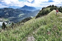 Oostenrijk -  Salzkammergut, 8 dagen (SNP Natuurreizen)