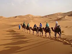 Bedoeïenenkaravaan naar de souks in 10 dagen (Riksja)