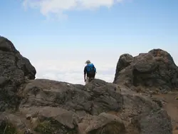 Kilimanjaro - Machame route (Riksja)