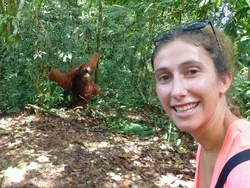 Van apenjungle naar rijstterras op Sumatra en Bali (Riksja)