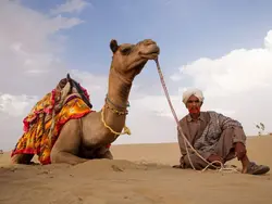 Maharadja's en Koningen (Riksja)