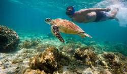 Philippines Island Explorer (INTRO Travel)