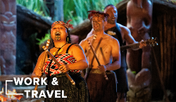 NZ INTRO (INTRO Travel)