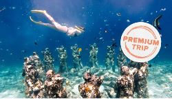 Bali Experience (INTRO Travel)