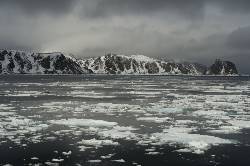 North Spitsbergen, Arctic Summer (Oceanwide)
