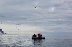North Spitsbergen, in search of Polar Bear and birds- Summer Solstice