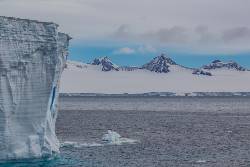 Antarctica - Elephant Island - Weddell Sea - Antarctic Peninsula