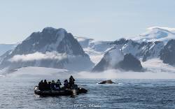 Antarctica - Voorbij de poolcirkel - Wilkins Ice Shelf