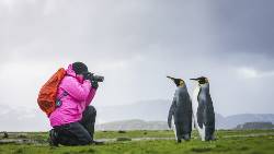 Falkland Islands - South Georgia - Elephant Island - Antarctica - de Zuidpoolcirkel