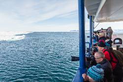 Arctic Ocean - Aberdeen, Fair Isle, Jan Mayen, Ice edge, Spitsbergen, Birding