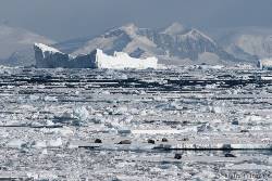 Antarctica - Beyond the Polar Circle - Wilkins Ice Shelf - Aurora Australis