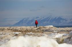 North Spitsbergen Explorer - Into the pack ice - Polar Bear Special (Oceanwide)