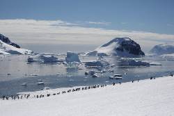 Antártida - Viaje de descubrimiento y aprendizaje (Oceanwide)