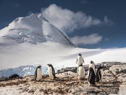 Antarctica - Walvissen spotten