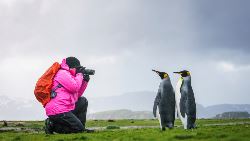Falkland Inseln – Südgeorgien - Elephant Island - Antarktis - Polarkreis (Oceanwide)