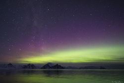 Antarctica - Beyond the Polar Circle - whale watching - Aurora Australis / Southern Lights (Oceanwide)