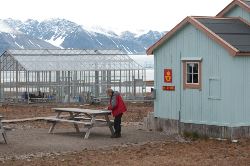 Nord Spitzbergen, Arktische Sommer (Oceanwide)