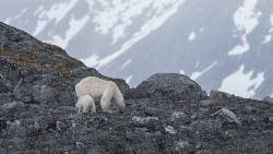 Spitsbergen Photography: Domain of the Polar Bear