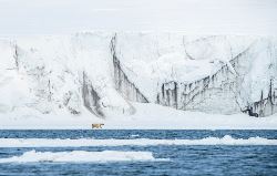 Svalbard in Spring: Sea Ice, Pristine Snow and Wildlife (Quark)