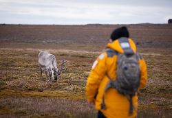 Spitsbergen Highlights: Wildlife Capital of the Arctic (Quark)