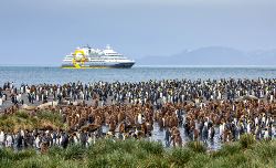 Falkland Islands and South Georgia: 20-Day Wildlife Adventure (Quark)
