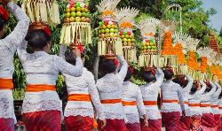 Basic Bali (Bali Travel)